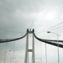 엑스포길 이미지