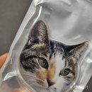 고양이 아크릴톡 제작하기 l 블랭커팩토리 아크릴 그립톡 제작 후기