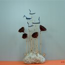 구름따라 그곳에가면 이미지