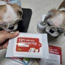 홍제약국 이미지