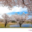 보문관광단지 이미지