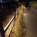 웅천못공원_앞 이미지