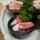 군참치