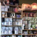 삼화 우수한동물병원 이미지