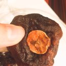 샬롬농원 이미지