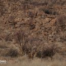 솔리테리 이미지