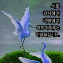 우리상사 Daum카페