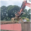 거북골길 | 안동인원상복구 안동철거 후기: 철거도 믿고 하는 시대