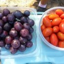 지행역광장 앞 이미지