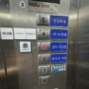 양지안마지압원 | 사하구지압원 양지안미지압원 부산하단지압 국가공인은 다르다