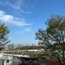 두 번째 벚꽃 | 창원 벚꽃 마라톤 5km 후기, 런린이 완주! 친구와 함께한 두번째 도전 🌸