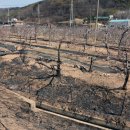 복곡리경로당 이미지