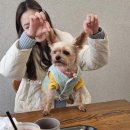 개미용중 이미지