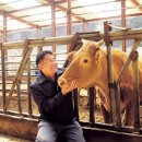 용성농장 이미지