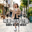 정웅인 딸 폭풍 성장 미니백 패션 화제! 삼윤이 근황과 스타일링