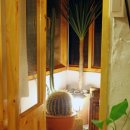 두꺼비 민박 이미지