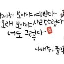 자세히 보아야 예쁘다 이미지