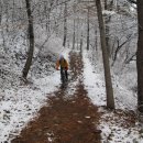 노안초등학교 이미지