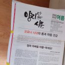 양지인쇄기획 네이버블로그