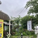 장애인복지회관 건너편 이미지