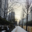 매니아클럽 | 의왕 내손동 분위기 좋은 카페 카포커피클럽 내돈내산 후기