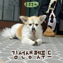 김선생펫푸드 이미지