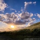 노을숲제주 이미지