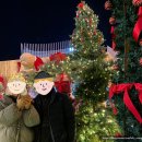 홈버프 | 피드메이커 3기 여행 | 홈피드 노출로 완전히 달라진 블로그