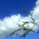 여전히 제주 이미지