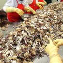 (주)오제이엔 이미지