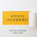 비디오천국 이미지
