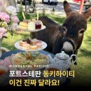 야생 돌고래를 하루에 다 만났어요" - 포트스테판 동키하이티 프리미엄 투어, 이건 진짜 몰랐을 거예요.