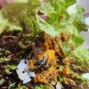 국화회관 | ​[정읍 맛집] 신선한 쌈채소와 쫄깃한 우렁의 만남, 연지동 ‘국화회관’ 우렁이 쌈밥정식