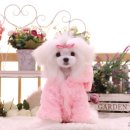 아콩하우스 이미지