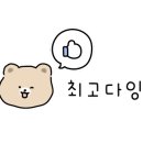 앤디스펫컴퍼니 네이버블로그