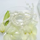 리스(219) | 곰팡이 핀 여름 부케, 특수 건조 후 완성품 후기｜파주 일산 부케 말리기 선물 소이리스