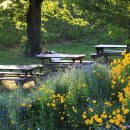 온동농장 이미지