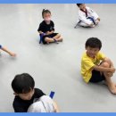 용인대대영태권도 이미지