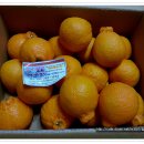 영서농장 이미지