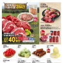 양지-2786 이미지