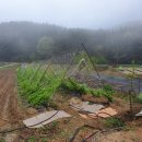 배근농장 이미지