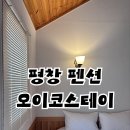 오이코스테이 | 평창 가족 여행 숙소 오이코스테이 깔끔한 펜션 숲속 찜질방 후기