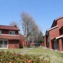 용산기지 옛 미군장교숙소(현 용산공원) 이미지