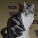 광명시민체육관 이미지