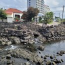 위미1리경로당 이미지