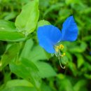 토산1리 이미지