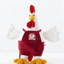 처갓집 양념통닭 이미지