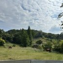 광주목장 이미지