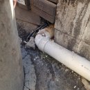 구례축협하나로마트 이미지