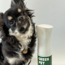 그린펫 이미지